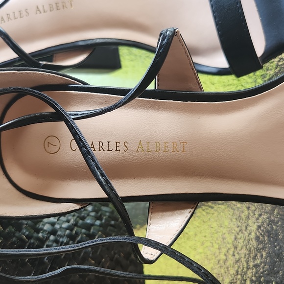 Charles Albert heels ☆ Size 7 ☆ Up the leg Straps ☆ Stilettos ☆ Black  Brand New - Picture 2 of 15